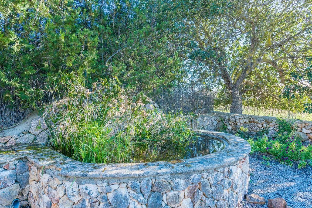 Villa Sa Punta Son Carrio (Llevant)